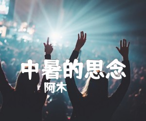 《中暑的思念吉他谱》_阿木 文字谱