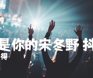 《我不是你的宋冬野 抖音版吉他谱》_林启得 图片谱5张