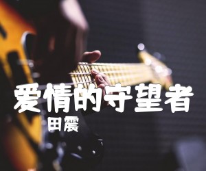 《爱情的守望者吉他谱》_田震_D调 图片谱1张