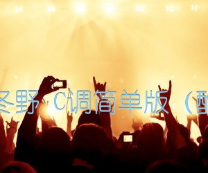 《斑马斑马 宋冬野 C调简单版（酷音小伟吉他）吉他谱》_群星_C调 图片谱1张