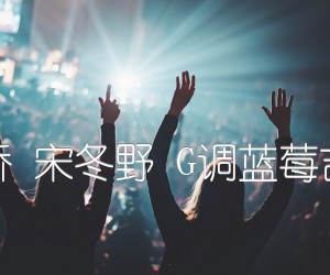 《安河桥 宋冬野 G调蓝莓吉他版吉他谱》_群星_G调 图片谱1张