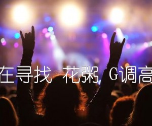 《我们总是在寻找 花粥 G调高清弹唱谱吉他谱》_群星_G调 图片谱1张