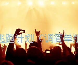 《夜空中最亮的星 逃跑计划 C调简单版 酷音小伟吉他版吉他谱》_群星_C调 图片谱1张