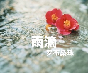 《雨滴吉他谱》_罗布_独奏_吉他图片谱3张