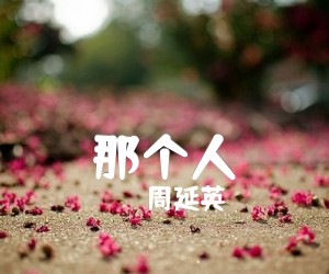 《那个人吉他谱》_周延英_C调 图片谱3张