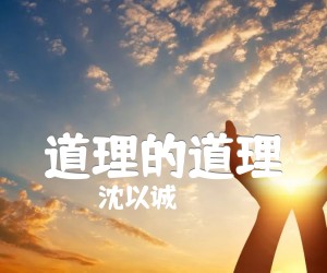 《道理的道理吉他谱》_沈以诚_C调 图片谱4张