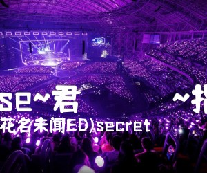 《(花名未闻ED)secret base~君がくれたもの~指弹吉他谱》_(花名未闻ED)secret 图片谱5张