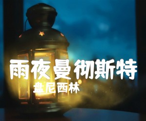 《雨夜曼彻斯特吉他谱》_盘尼西林_未知调 图片谱2张