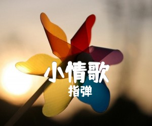 《小情歌》