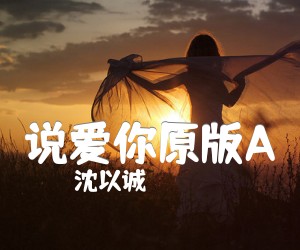 《说爱你原版A吉他谱》_沈以诚_A调_吉他图片谱3张