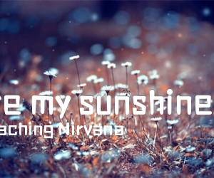 《you are my sunshine gtp谱》_Approaching Nirvana_指弹还不错_完美版 图片谱1张