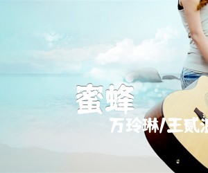 《蜜蜂吉他谱》_万玲琳/王贰浪_C调 图片谱2张