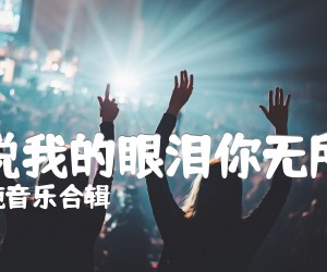 《别说我的眼泪你无所谓吉他谱》_纯音乐合辑_G调 图片谱2张