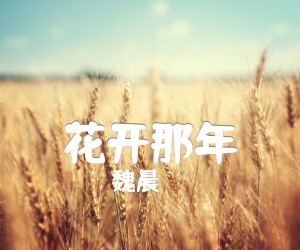 《花开那年吉他谱》_魏晨_D调 图片谱1张