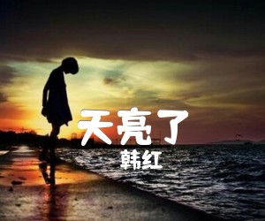 《天亮了吉他谱》_韩红_C调 图片谱2张