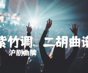 《紫竹调   二胡曲谱吉他谱》_沪剧曲牌_D调 图片谱1张