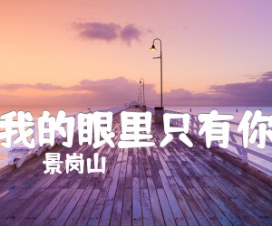 《我的眼里只有你吉他谱》_景岗山_G调 图片谱2张