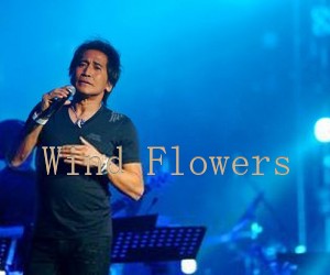 《Wind Flowers吉他谱》_齐秦_吉他图片谱1张