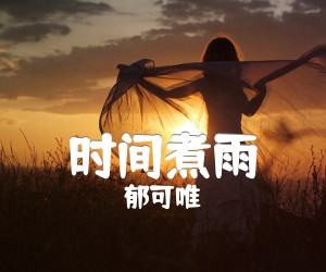 《时间煮雨吉他谱》_郁可唯_D调_吉他图片谱5张