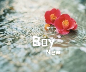 《New Boy吉他谱》_New_C调 图片谱2张