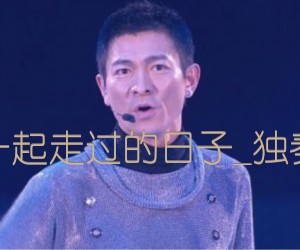 《一起走过的日子吉他谱》_刘德华_独奏_吉他图片谱2张