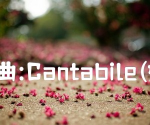 《钢琴小曲:Cantabile(如歌地)吉他谱》_波肖邦 图片谱1张