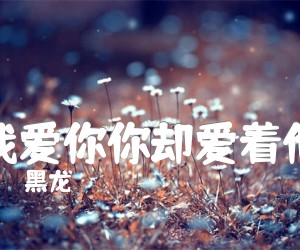 《我爱你你却爱着他吉他谱》_黑龙_B调 图片谱2张