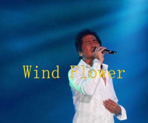 《Wind Flower吉他谱》_齐秦 图片谱2张