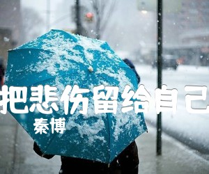 《把悲伤留给自己吉他谱》_秦博_陈升_C调图片谱完整版_C调 图片谱4张