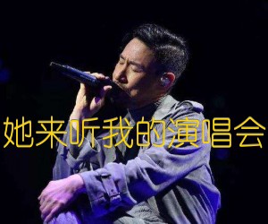 《她来听我的演唱会吉他谱》_张学友_G调 图片谱3张