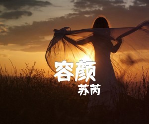 《容颜吉他谱》_苏芮_G调 图片谱1张