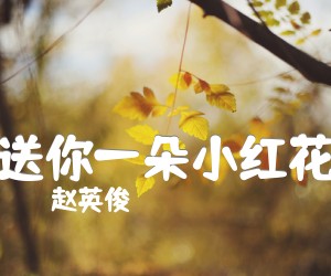 《送你一朵小红花吉他谱》_赵英俊_未知调 图片谱2张