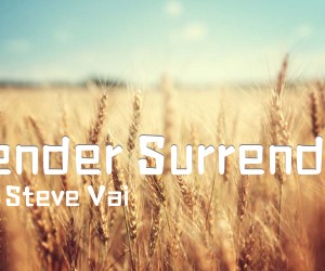 《Tender Surrender吉他谱》_Steve Vai 图片谱8张