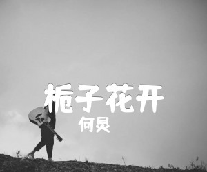 《栀子花开吉他谱》_何炅_C调 图片谱1张