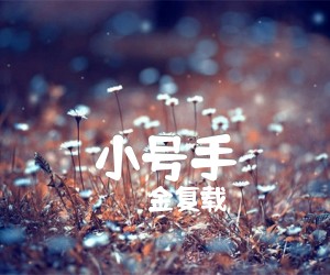 《小号手吉他谱》_金复载_G调 图片谱1张