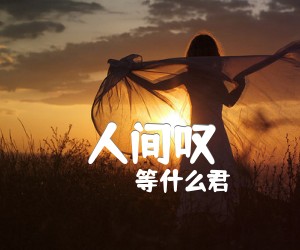 《人间叹吉他谱》_等什么君_C调 图片谱2张