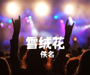 《雪绒花吉他谱》_佚名_B调 图片谱1张