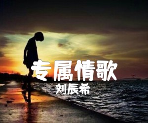 《专属情歌吉他谱》_刘辰希 图片谱2张