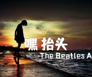 《嘿 抬头吉他谱》_The Beatles Acoustic Trio_C调 图片谱3张