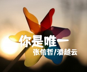 《你是唯一吉他谱》_张信哲/潘越云_F调 图片谱2张