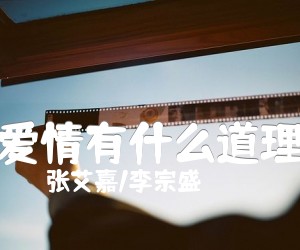 《爱情有什么道理吉他谱》_张艾嘉/李宗盛_D调 图片谱2张