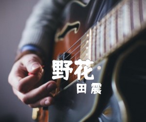 《野花吉他谱》_田 震_A调 图片谱1张