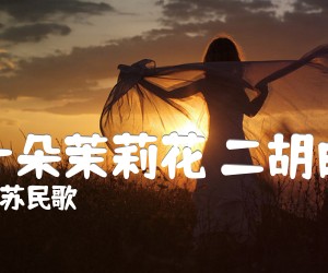 《好一朵茉莉花 二胡曲谱吉他谱》_江苏民歌_G调 图片谱1张