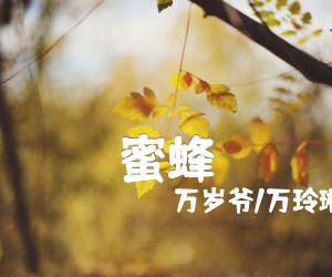 《蜜蜂吉他谱》_万岁爷/万玲琳_C调 图片谱2张