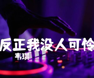 《反正我没人可怜吉他谱》_韦琪_C调 图片谱1张