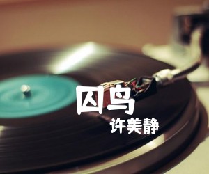 《囚鸟吉他谱》_许美静 图片谱1张