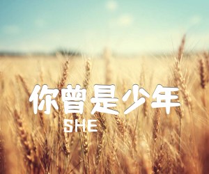 《你曾是少年吉他谱》_SHE 图片谱5张