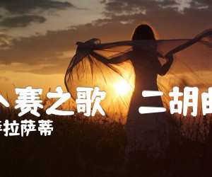 《吉卜赛之歌    二胡曲谱吉他谱》_萨拉萨蒂_F调 图片谱1张