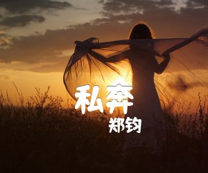 《私奔吉他谱》_郑钧 文字谱