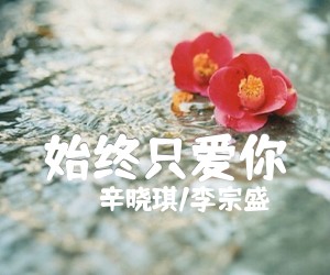 《始终只爱你吉他谱》_辛晓琪/李宗盛_G调 图片谱2张